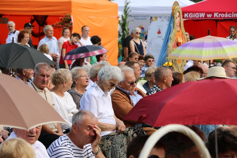 Płońsk. Wojewódzko-diecezjalne święto plonów cz. II