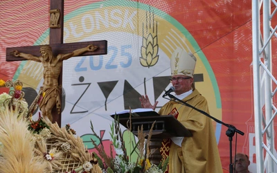 Płońsk. Wojewódzko-diecezjalne święto plonów cz. II