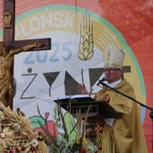 Płońsk. Wojewódzko-diecezjalne święto plonów cz. II