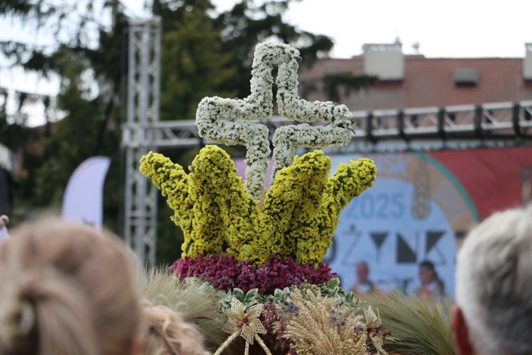 Płońsk. Wojewódzko-diecezjalne święto plonów cz. II