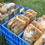 21. Święto Chleba w Wejherowie