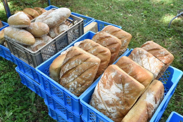 21. Święto Chleba w Wejherowie