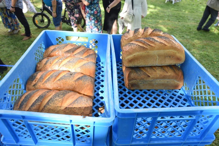 21. Święto Chleba w Wejherowie