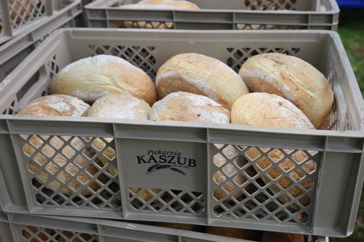 21. Święto Chleba w Wejherowie