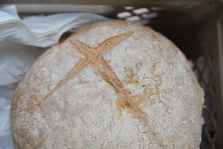 21. Święto Chleba w Wejherowie