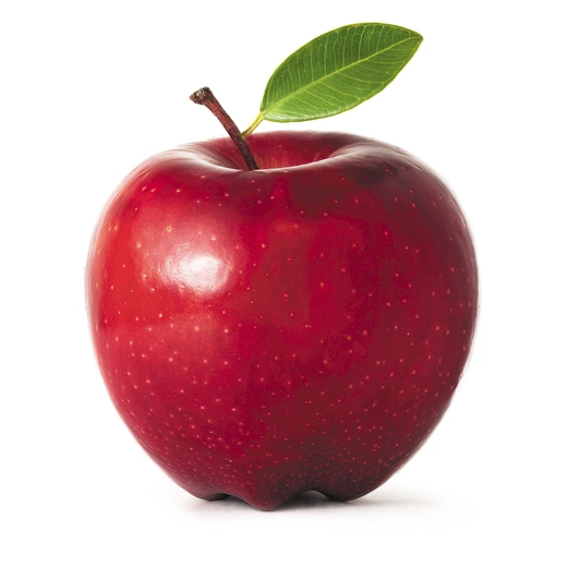 Istockphoto