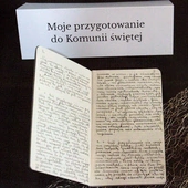 Odwiedzający wystawę mówili, że zeszyty „sekretarki Bożego miłosierdzia”  to namacalny wręcz dowód  na istnienie Boga.