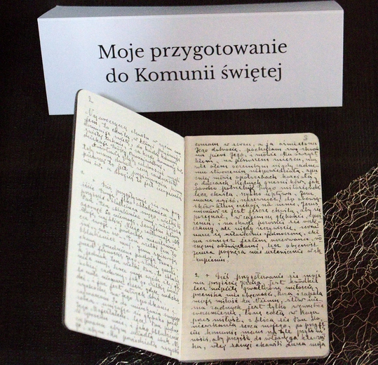 Odwiedzający wystawę mówili, że zeszyty „sekretarki Bożego miłosierdzia”  to namacalny wręcz dowód  na istnienie Boga.