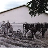 Malowidło przy ul. Opolskiej.
