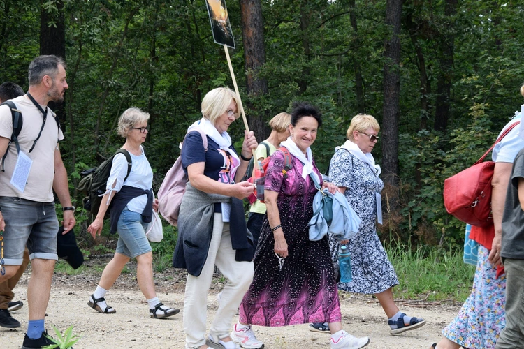 Piesza Pielgrzymka Wrocławska 2025 - przeżyjmy to jeszcze raz!