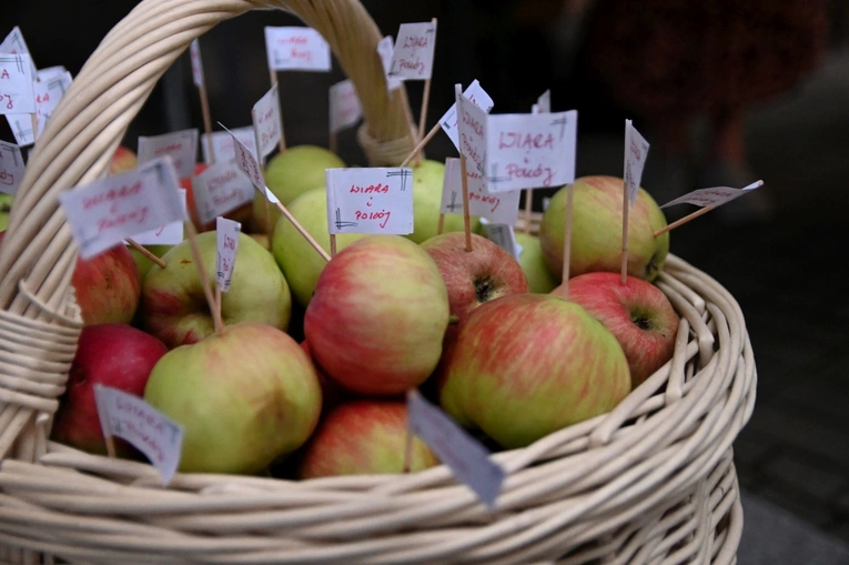 Dziękczynienie za beatyfikację abp. Eduarda Profittlicha
