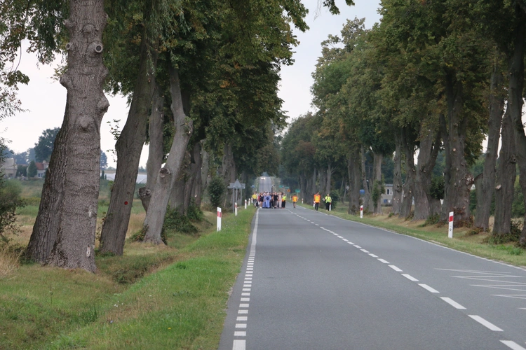 V Młodzieżowa Pielgrzymka z Płońska do Czerwińska n. Wisłą 