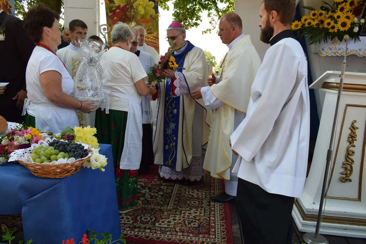 Doroczny odpust maryjny w Janowie Lubelskim