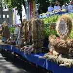 Doroczny odpust maryjny w Janowie Lubelskim