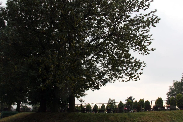 Zalesie Śląskie - Piękna Wieś Opolska 2025