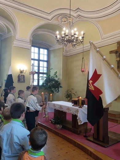 Skauci z apelem