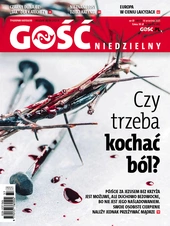 GN 37/2025
