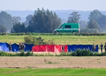 Źródło w NATO: wg wstępnych danych wtargnięcie rosyjskich dronów do Polski było celowe
