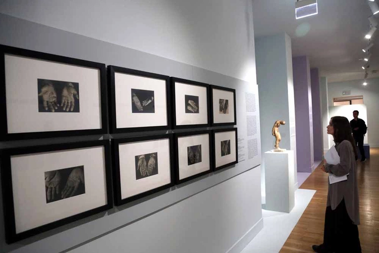 Sztuka lwowianek z okresu modernizmu