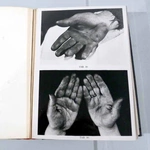 Sztuka lwowianek z okresu modernizmu