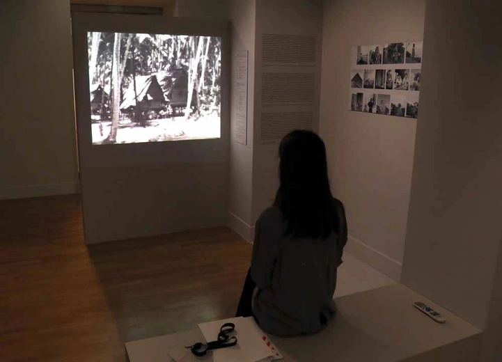 Sztuka lwowianek z okresu modernizmu