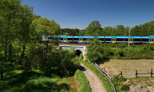 W wakacje z rodzinnym biletem Kolei Śląskich za 10 zł najchętniej podróżowaliśmy w góry