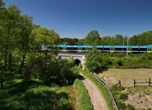 W wakacje z rodzinnym biletem Kolei Śląskich za 10 zł najchętniej podróżowaliśmy w góry