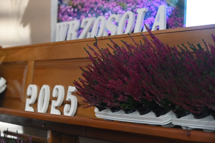 Wrzosola 2025