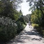 Ogród Botaniczny UMCS
