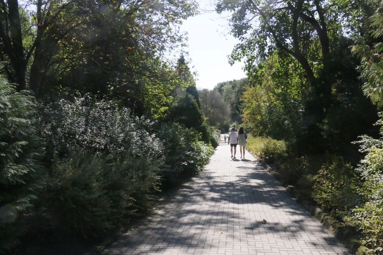 Ogród Botaniczny UMCS
