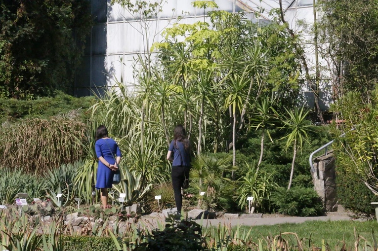 Ogród Botaniczny UMCS