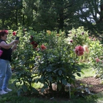 Ogród Botaniczny UMCS