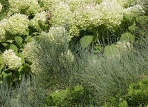 Szańce Kościuszkowskie w Lublinie