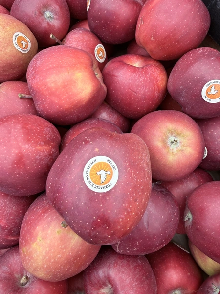 Jubileusz młodych - KSM i bierzmowańcy