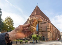 Poznań bez korowodu św. Marcina