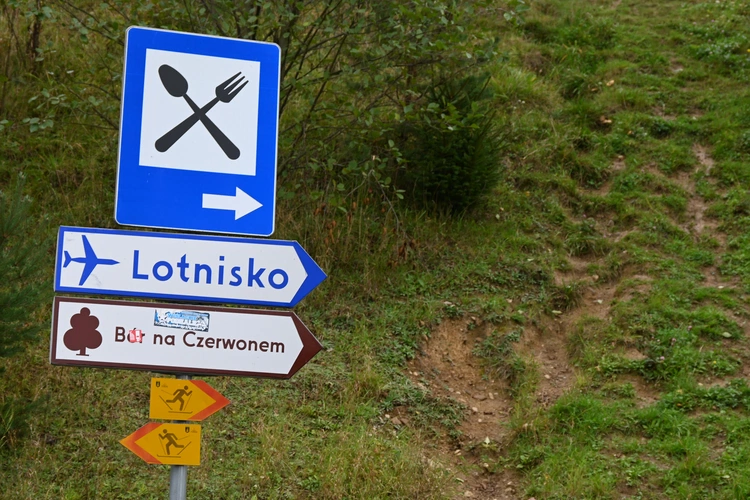 Między lasami