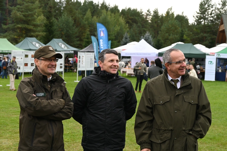 Między lasami