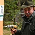 Między lasami
