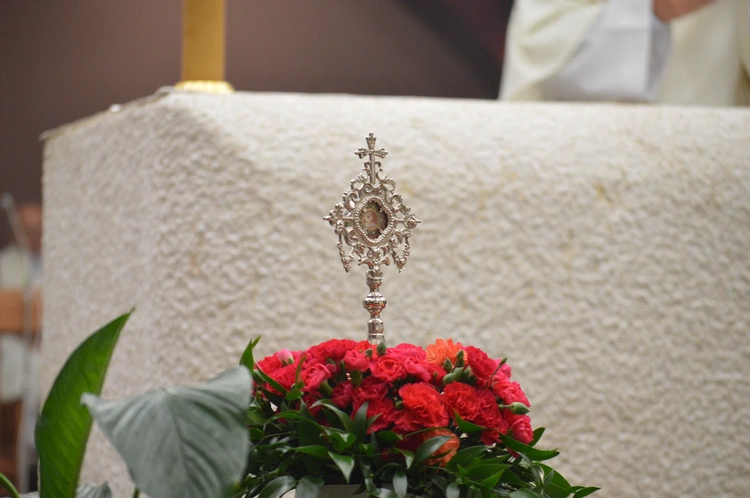 Ciemne Typy dziękowały za kanonizację Piera Giorgia