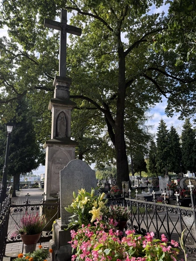 Jubileusz kapłanów