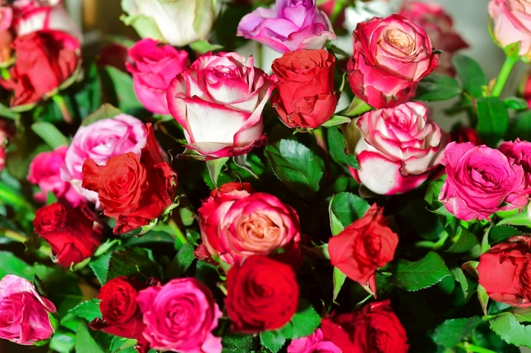 ​Wspomnienie św. Teresy od Dzieciątka Jezus