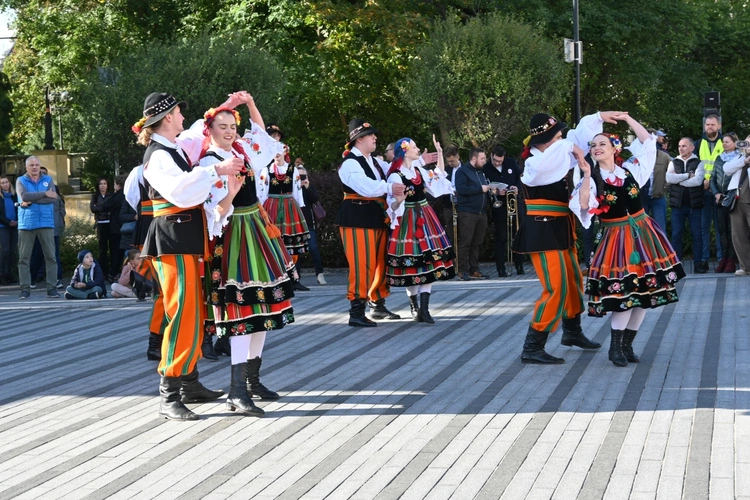 Marsz dla Życia i Rodziny w Opolu