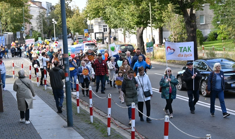 Marsz dla Życia i Rodziny w Opolu