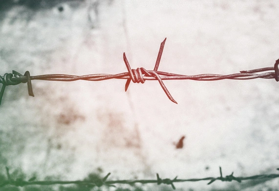 Wolność słowa? Roźnie liczba tematów z jej zajresu wykluczonych