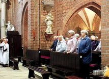 Pracownicy i wolontariusze pielgrzymowali do sanktuarium Matki Bożej Pokornej. Na co dzień pracują w różnych caritasowych placówkach i grupach parafialnych. 