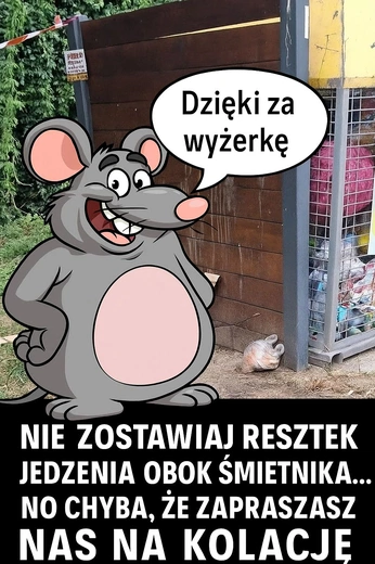 Siemianowice Śląskie. Trwa akcja powszechnej i obowiązkowej deratyzacji