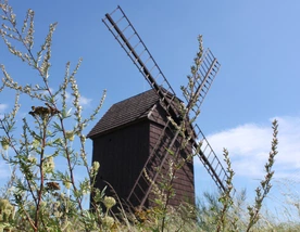 Opowieść odnawialna