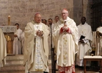  Kard. Parolin: Św. Karol Acutis – perła Asyżu i dar dla Kościoła