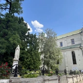 Brak tytułu