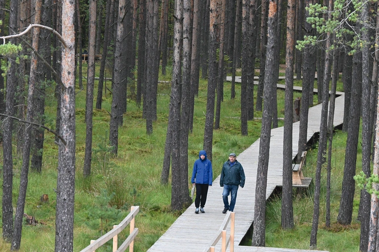 W to unikatowe miejsce warto przychodzić przez cały rok.